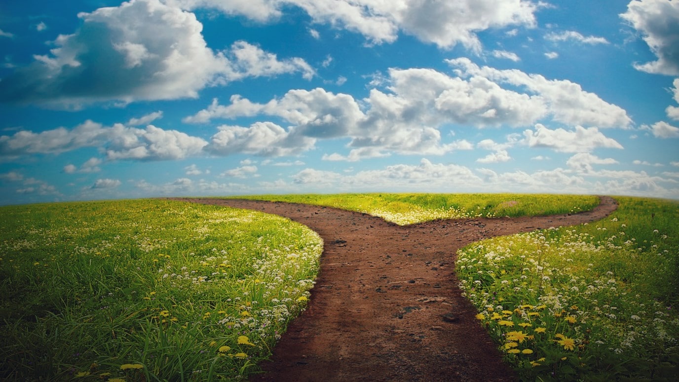 life-path-reading